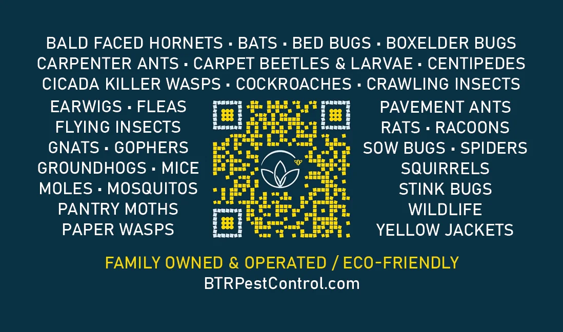 Local Business Card Design